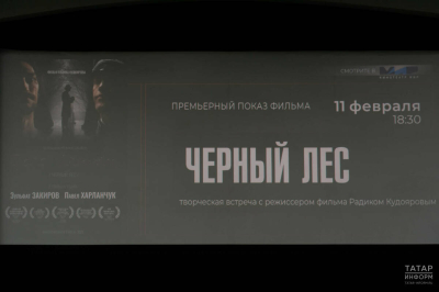 &laquo;Фильм для широкого зрителя&raquo;: в Казани прошел предпремьерный показ фильма &laquo;Черный лес&raquo;