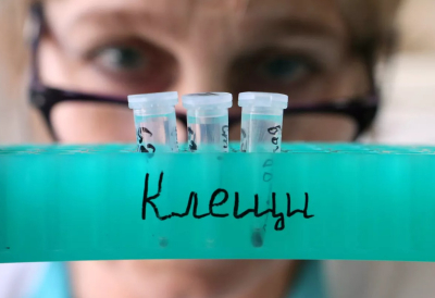 Казань стала самым крупным рассадником клещей в Татарстане