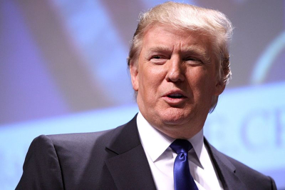 Трамп заявил Зеленскому, что больше разговаривает с Путиным, чем с ним