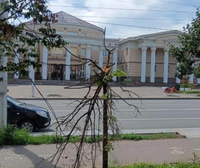 Ураган в Альметьевске: ветер повалил деревья на машины и оборвал ЛЭП