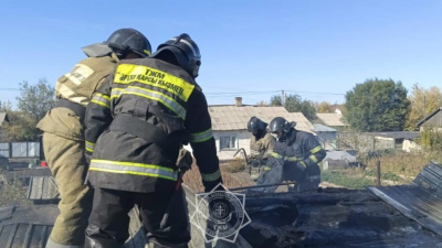 В Караганде в пожаре погибли домашние птицы