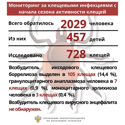 Еще более 600 человек обратились в больницы Татарстана с укусами клещей