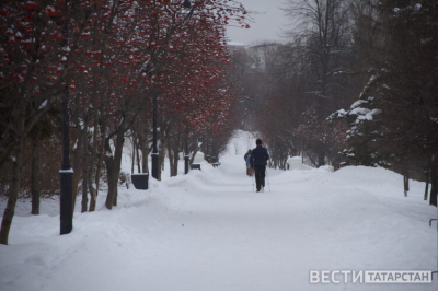 Стало известно, когда в Татарстане растает снег