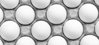 Крупную партию куриных яиц пытались незаконно ввезти в Казахстан из-за рубежа