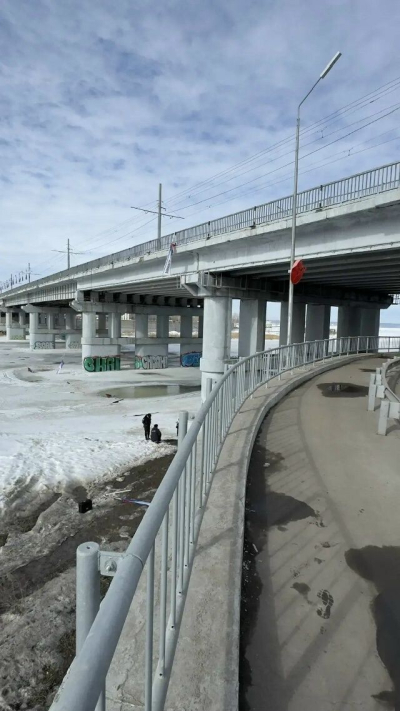В Набережных Челнах задержан мужчина за уничтожение флагов