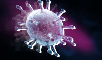 Пшеничная: высокая температура &mdash; один из основных симптомов лихорадки чикунгунья