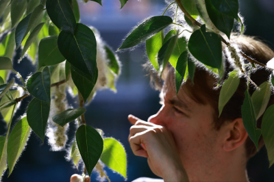 Почему аллергия начнется у россиян уже зимой, пояснил эксперт