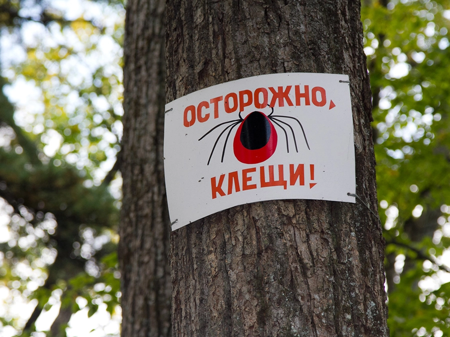 В Татарстане с начала сезона от клещей пострадали почти 10 тыс. человек