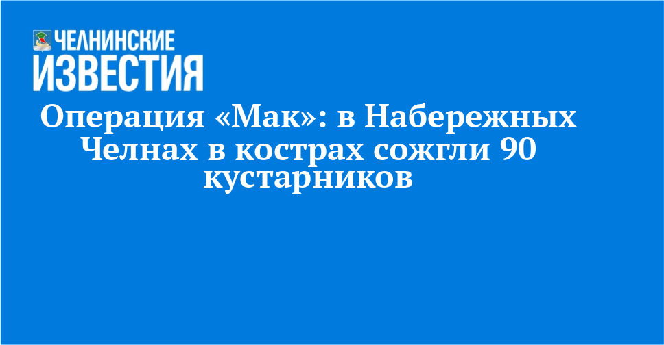 Операция «Мак»: в Набережных Челнах в кострах сожгли 90 кустарников